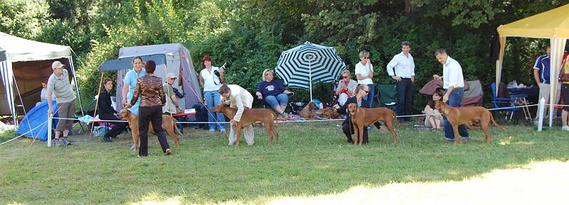 2008_Aug 252.jpg - Zuchtgruppe/progeny group Hill Valley´s Kennel